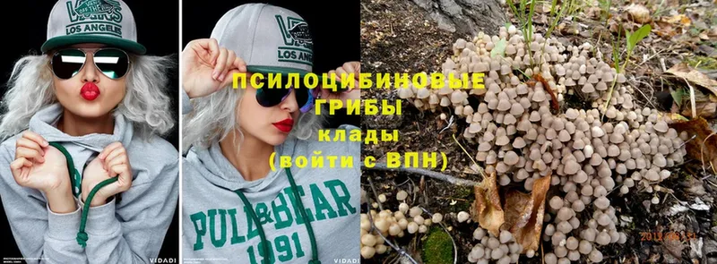  COCAIN Карталы